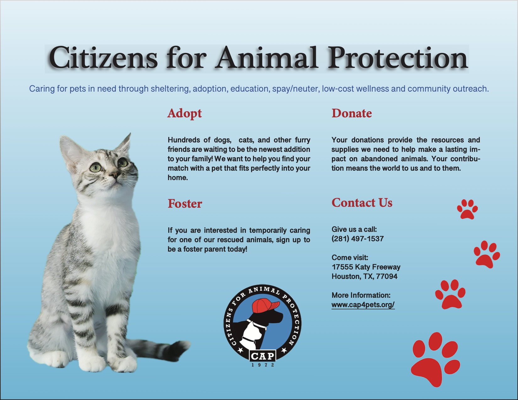 picture of a poster for Citizens for Animal Protection that I made